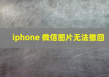 iphone 微信图片无法撤回